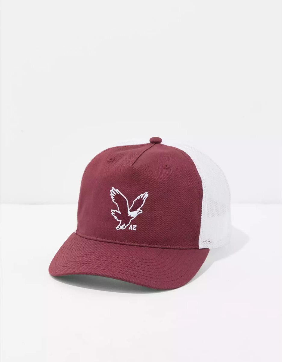 Chapeaux American Eagle AE Trucker Bordeaux Foncé Homme | TKR-48938966